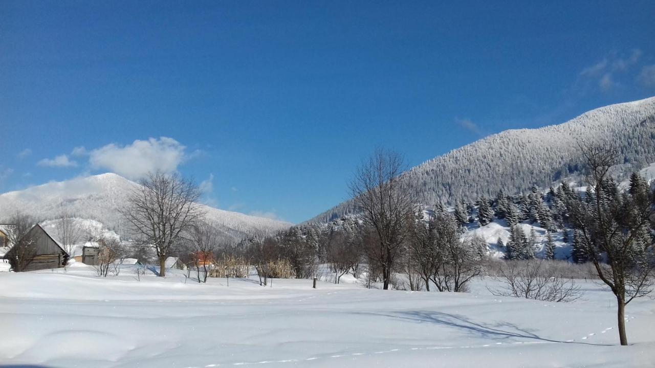 Sadyba U Anastasijky Sinevir Exterior foto