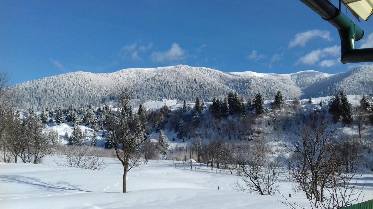 Sadyba U Anastasijky Sinevir Exterior foto